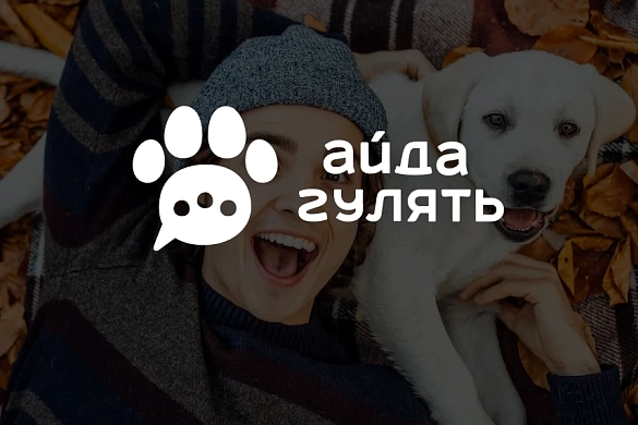 Фирменный стиль сайта «Айда Гулять»